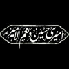 عکس المیرا فیاضی